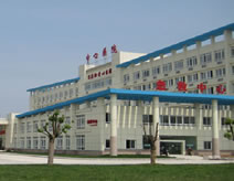 巢城中心医院